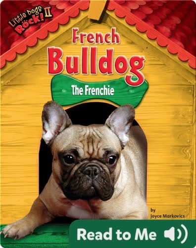 French Bulldog: The Frenchie