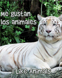 Me Gustan Los Animales  (I Like Animals)