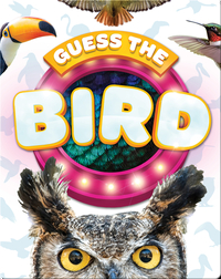 Guess the Bird
