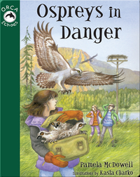 Ospreys in Danger