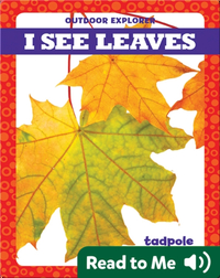 I See Leaves