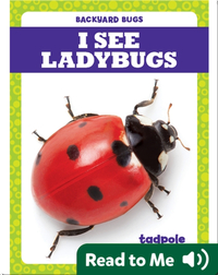 I See Ladybugs