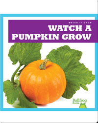 Watch a Pumpkin Grow