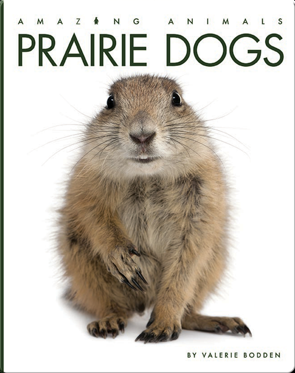 Amazing Animals: Prairie Dogs