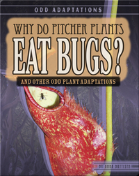 Why Do Pitcher Plants Eat Bugs? And Other Odd Plant Adaptations
