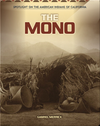 The Mono