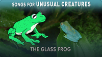 Songs for Unusual Creatures: The Glass Frog