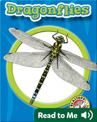 World of Insects: Dragonflies