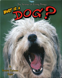 What is a Dog?