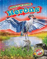 Animals of the Wetlands: Herons