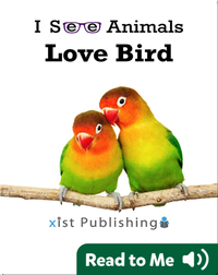 I See Animals: Love Bird
