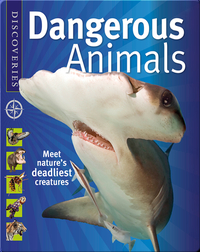 Discoveries: Dangerous Animals