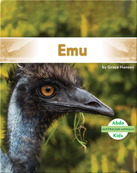 Australian Animals: Emu