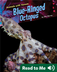 Animals with Venom: Blue-Ringed Octopus