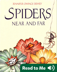 Spiders Near and Far