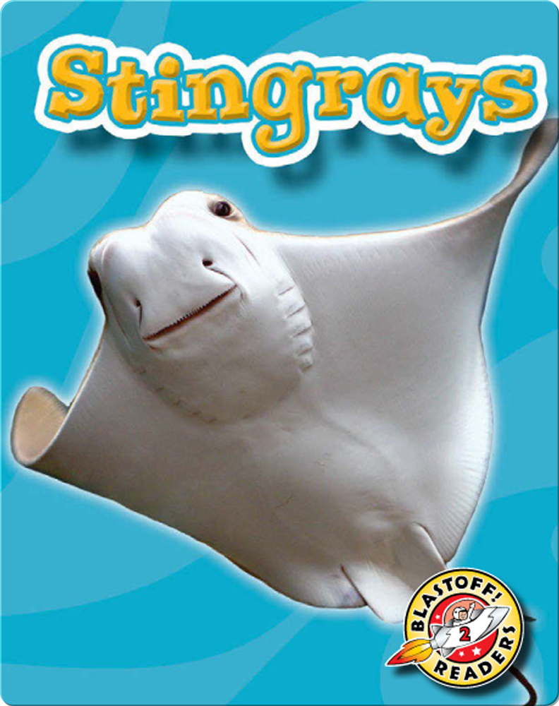 Stingrays Oceans Alive Children S Book By Martha Rustad