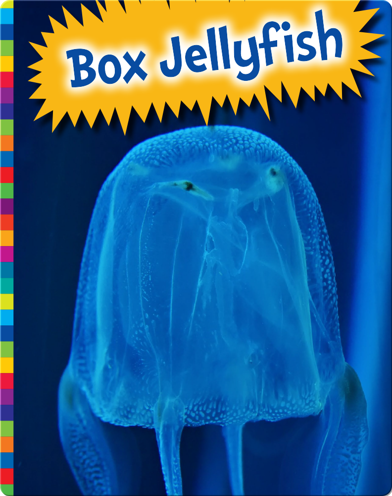 Box Jellyfish Children's Book by Elizabeth Raum Discover Children's Books, Audiobooks, Videos