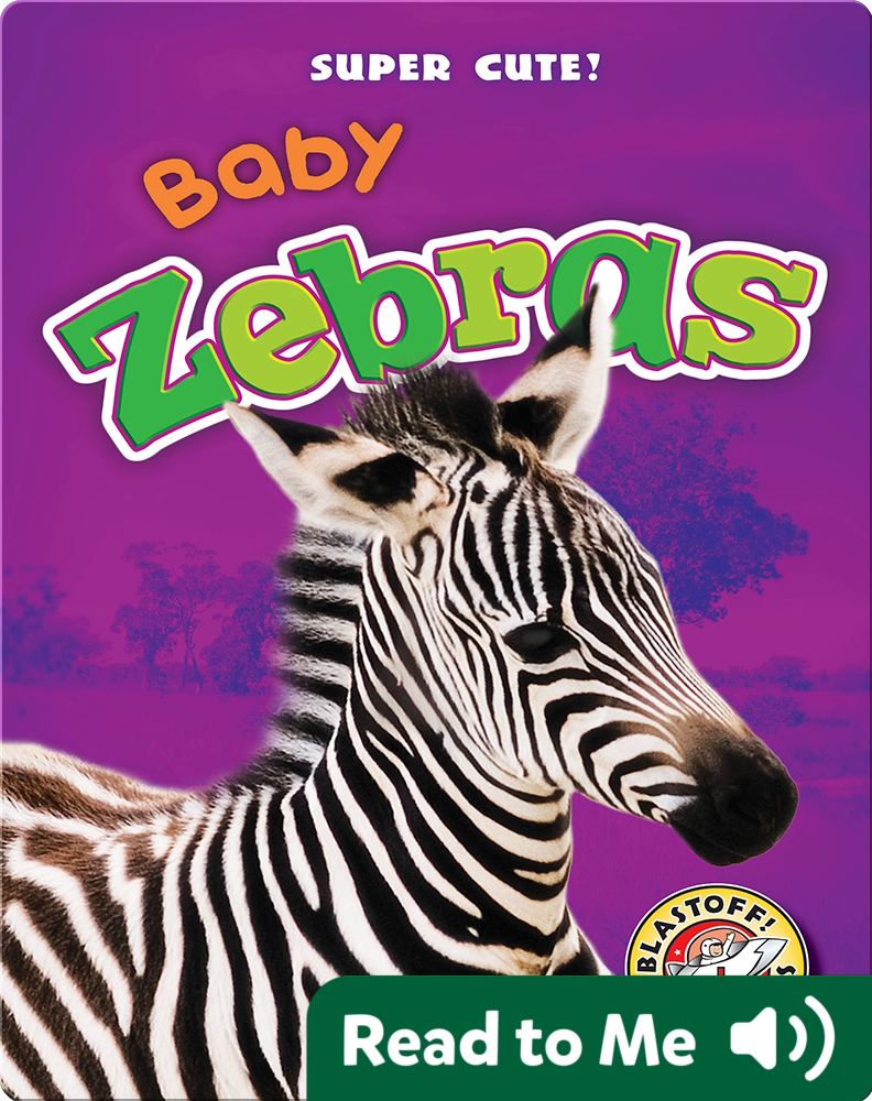 Super Cute! Baby Zebras Children's Book by Megan Discover Children's Books