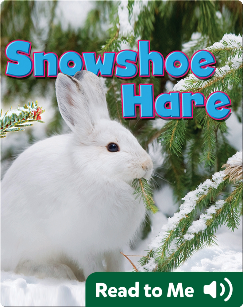 Snowshoe Hare Children's Book by Dee Phillips Discover Children's
