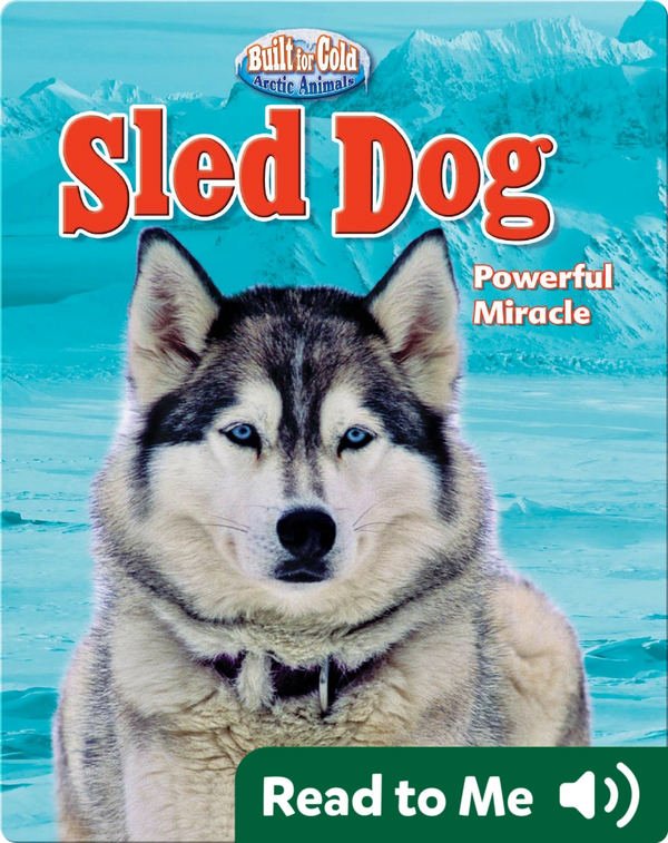 Sled Dog Powerful Miracle Children's Book by Stephen Person Discover Children's Books