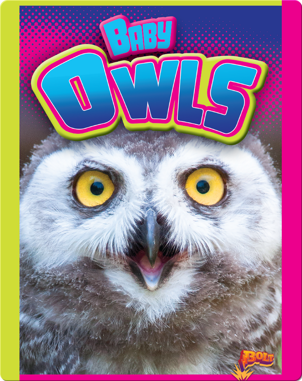 Baby Owls Children's Book by Deanna Caswell Discover Children's Books