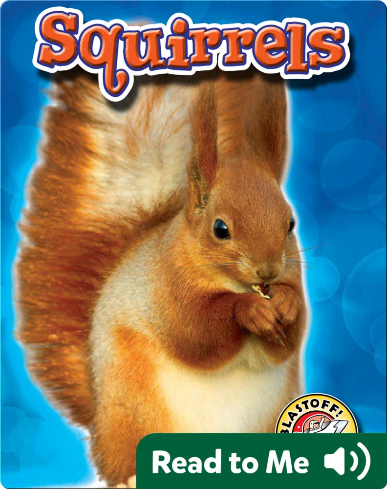 Squirrels Backyard Wildlife Children's Book by Derek Zobel Discover