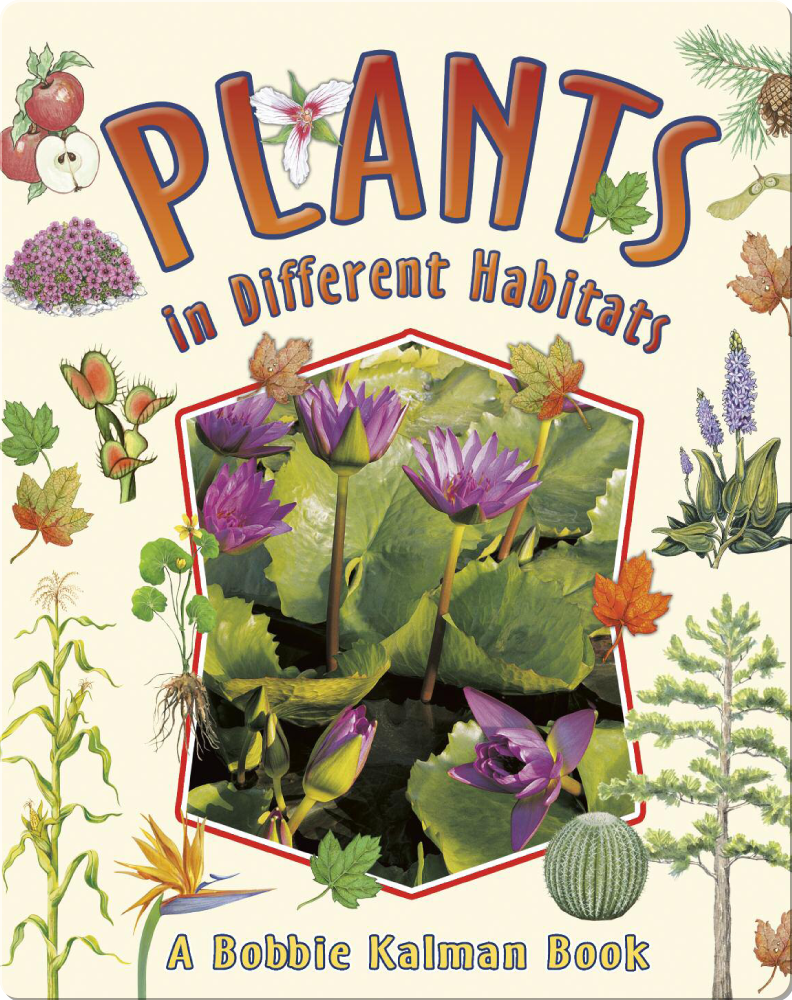 Plants in Different Habitats Children's Book by Bobbie Kalman, Rebecca