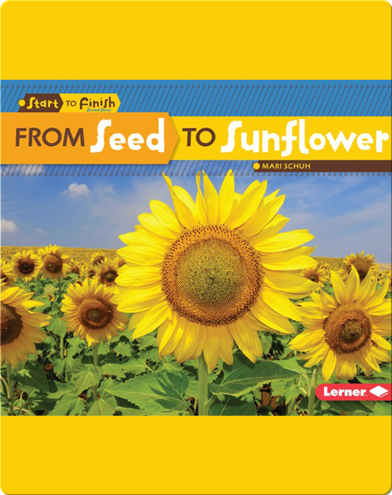 From Seed to Sunflower Children's Book by Mari Schuh | Discover