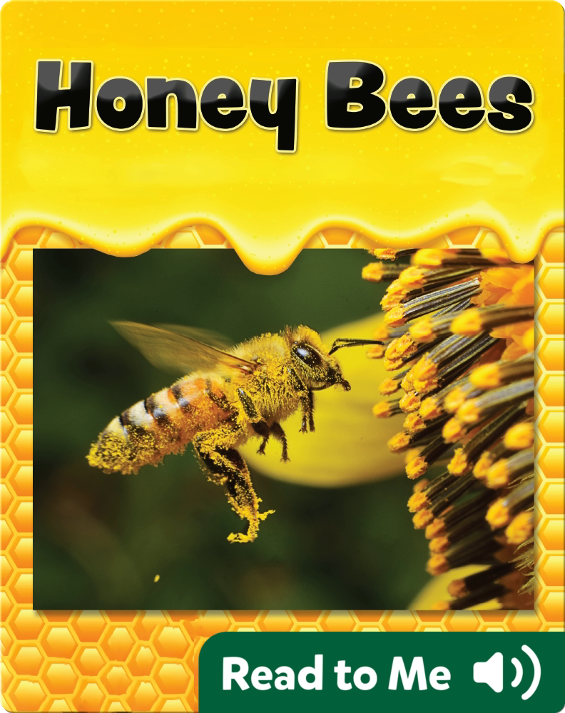 Honey Bees Children's Book by Alan Walker Discover Children's Books