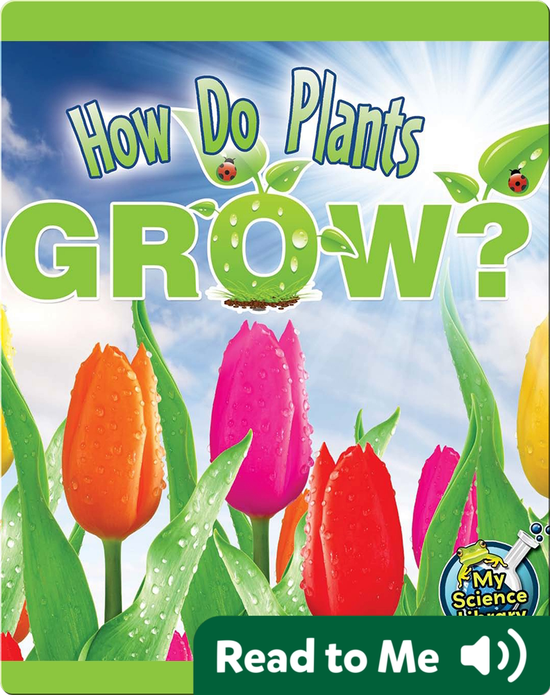 How Do Plants Grow? Children's Book by Julie Lundgren Discover
