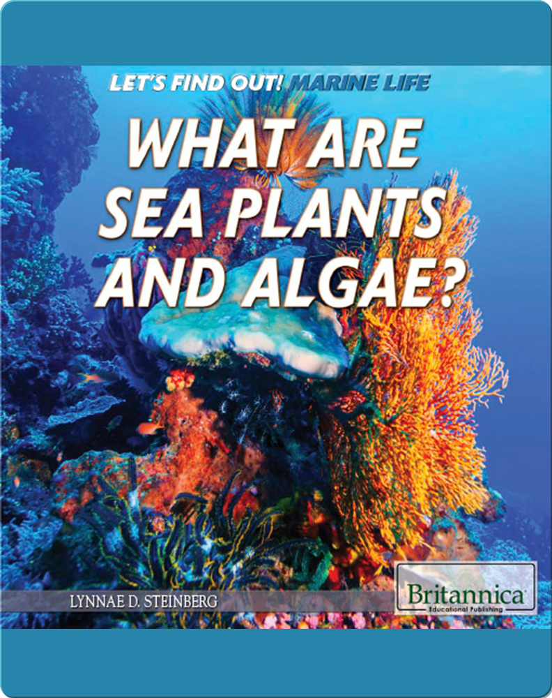 what-are-sea-plants-and-algae-children-s-book-by-lynnae-steinberg-with