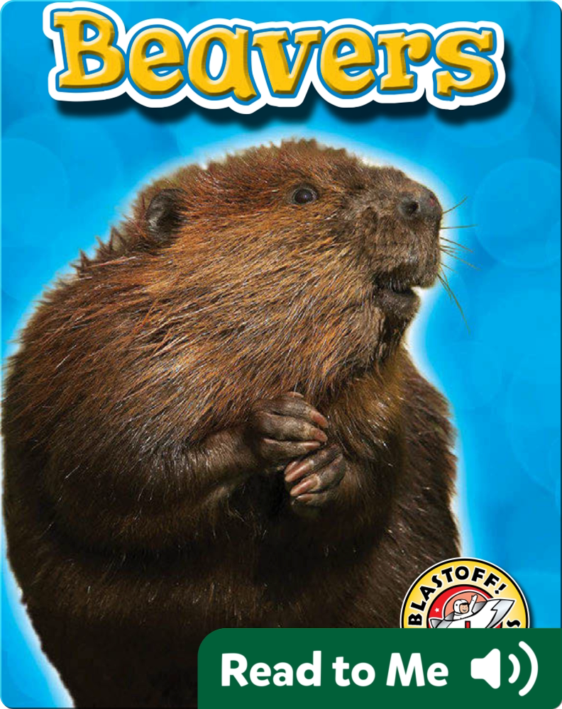 Beavers Backyard Wildlife Children's Book by Emily Green Discover Children's Books