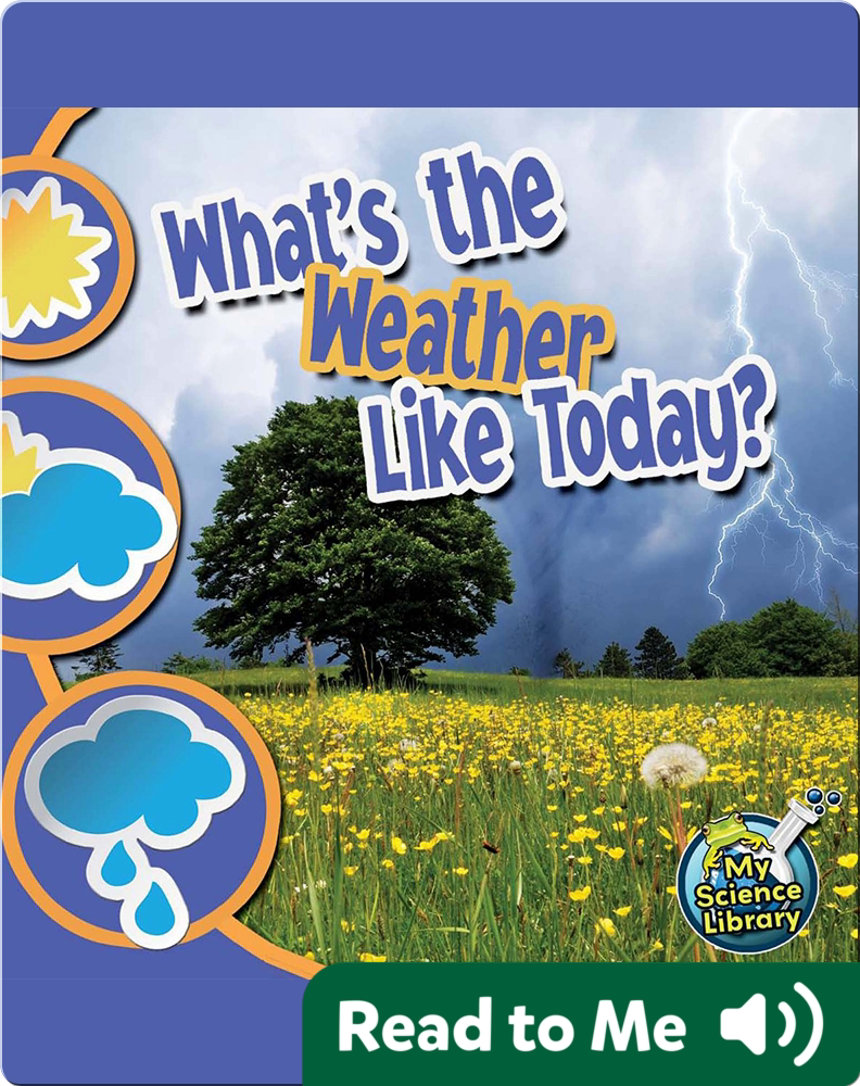 What's The Weather Like Today? Children's Book by Conrad J. Storad ...