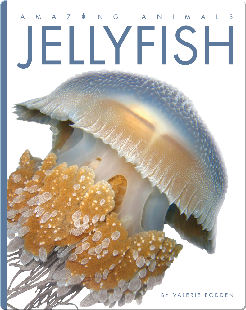 Jellyfish Children's Book by Valerie Bodden Discover Children's Books, Audiobooks, Videos