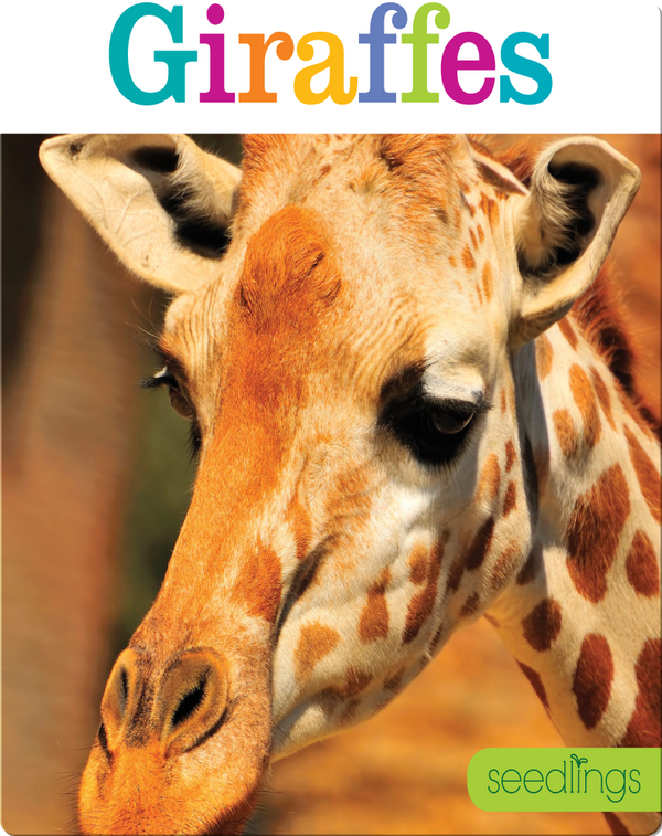 Giraffes Children's Book by Kate Riggs Discover Children's Books
