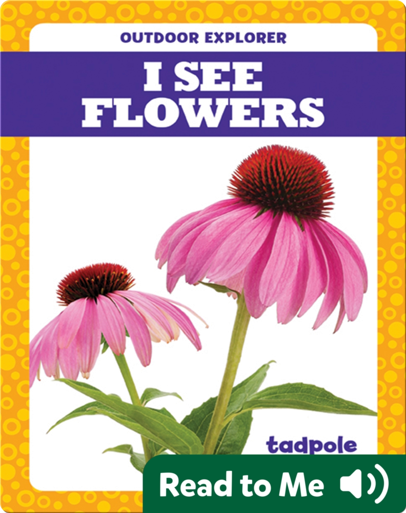 I See Flowers Children's Book by Tim Mayerling Discover Children's