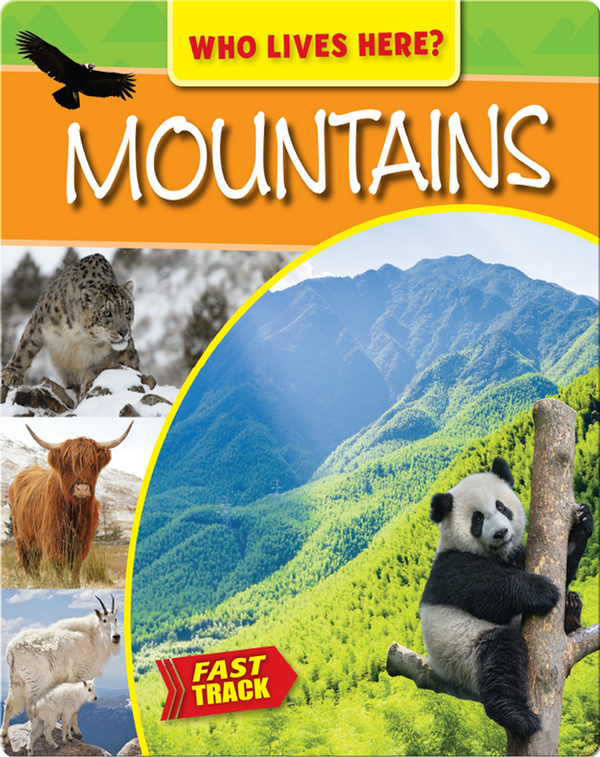Mountains Children's Book by MaryJane Wilkins Discover Children's Books, Audiobooks, Videos