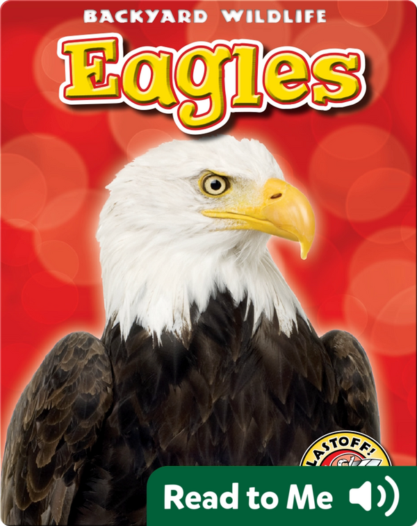 Eagles Backyard Wildlife Children's Book by Kari Schuetz Discover Children's Books