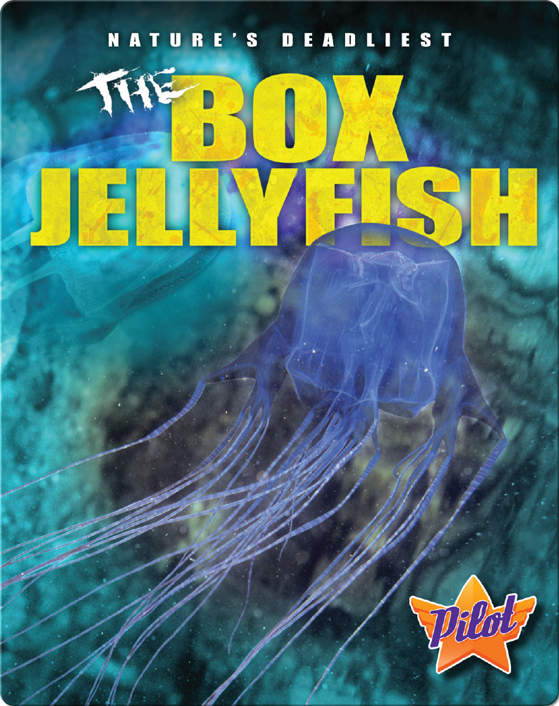 The Box Jellyfish Children's Book by Colleen Sexton Discover Children