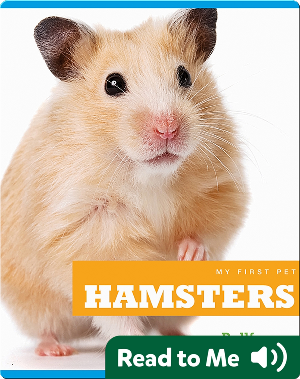 Getting a pet hamster picture