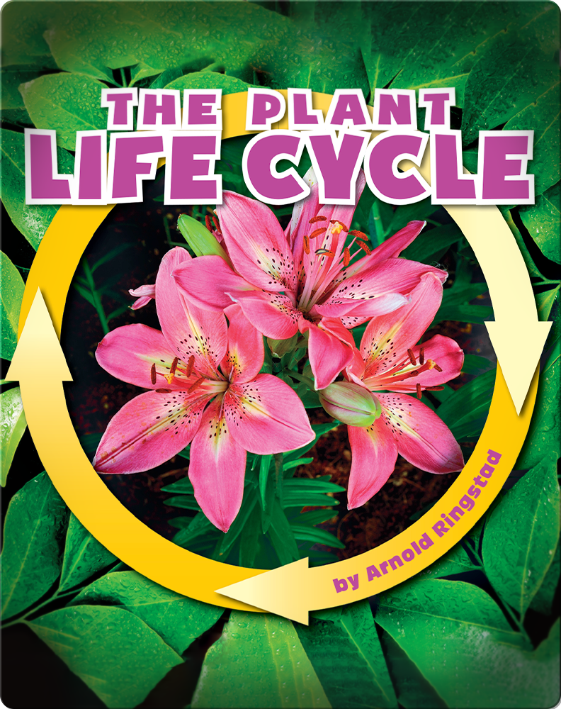 the-plant-life-cycle-children-s-book-by-arnold-ringstad-discover