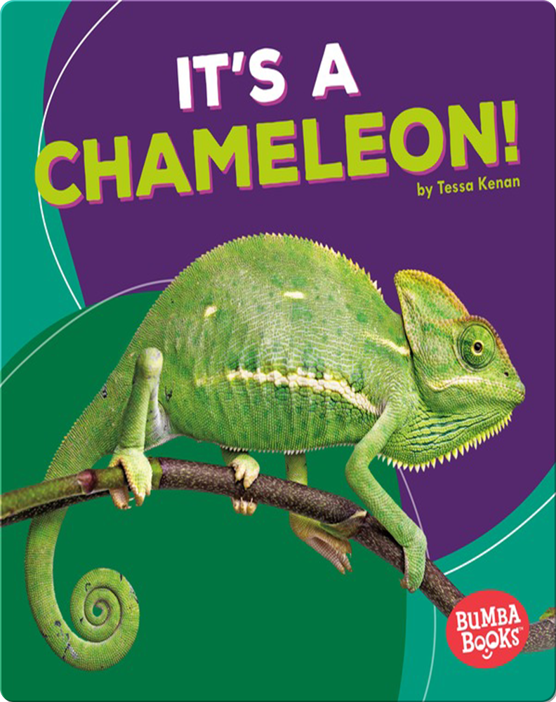 It's a Chameleon! Children's Book by Tessa Kenan | Discover Children's